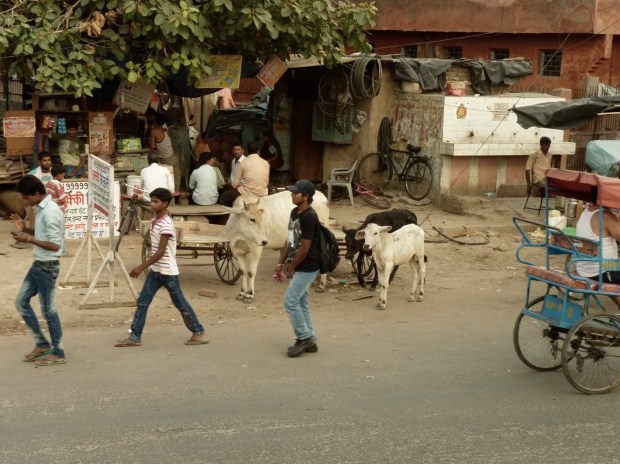 streetlife_delhi_antoniaseifert