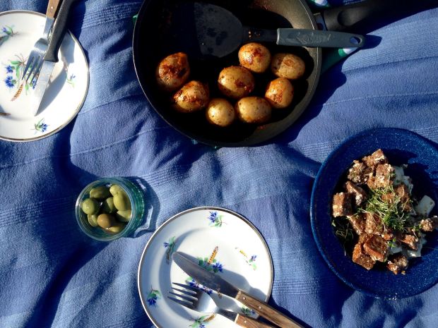 goerlitz_picknick-an-der-neisse