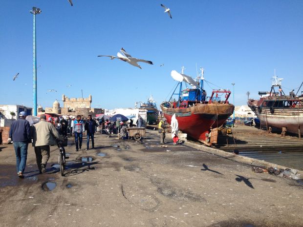 hafen_essaouira