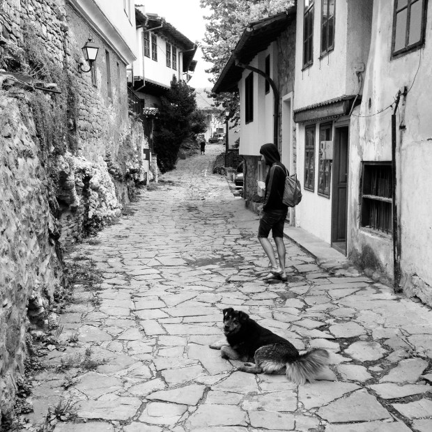 velikotarnovo_swhundi